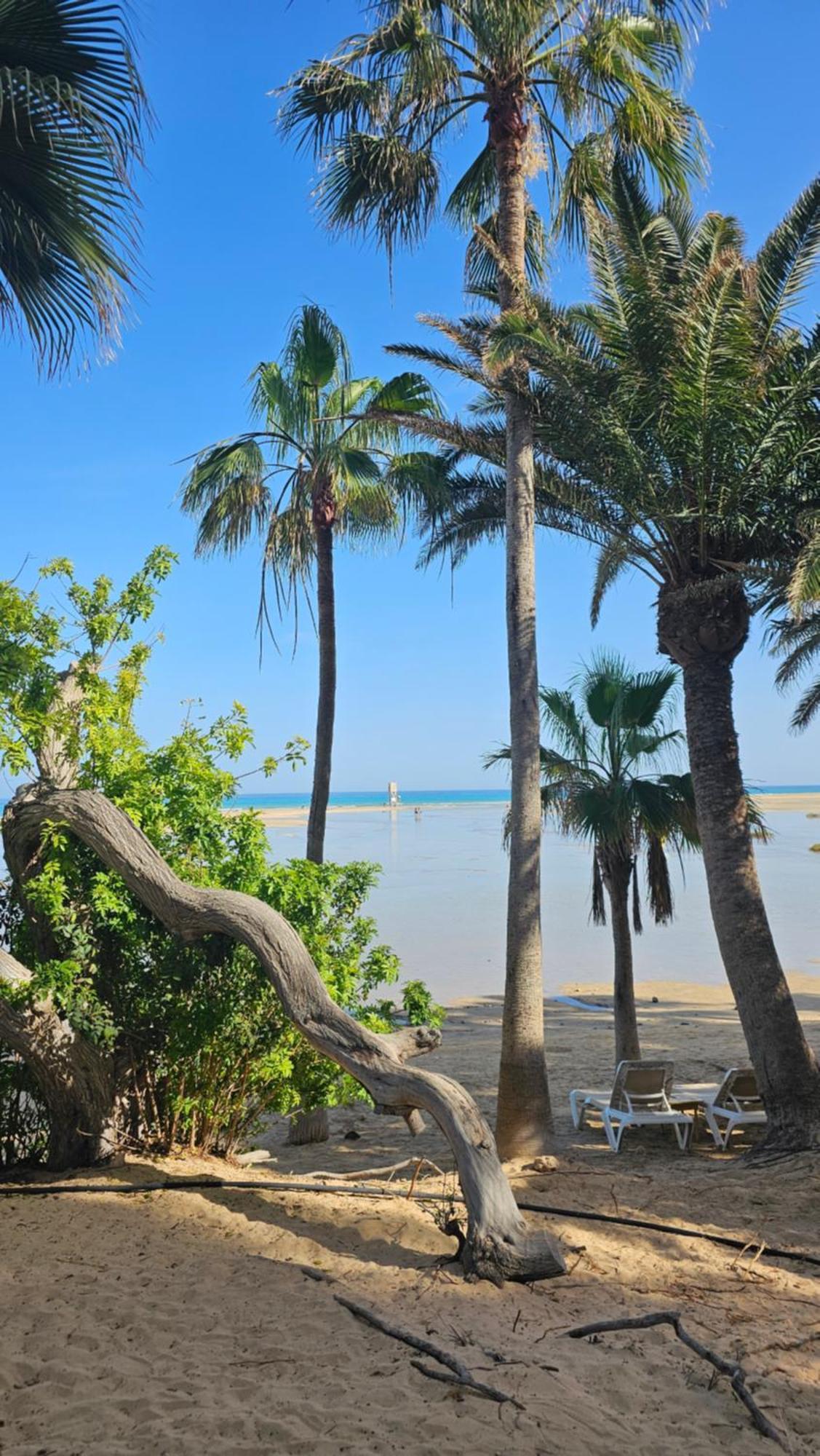 Apartment Sotavento Modern New In Park Natural Adults Only Playa Jandia